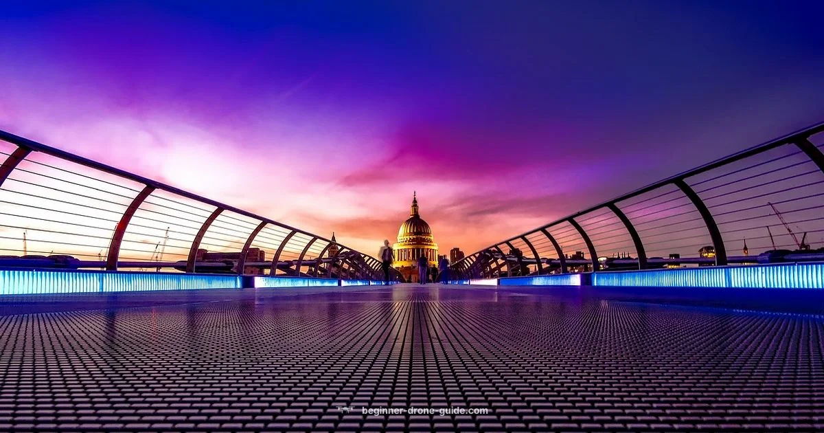 Sky Drone Guide - Beginner Drone Guide