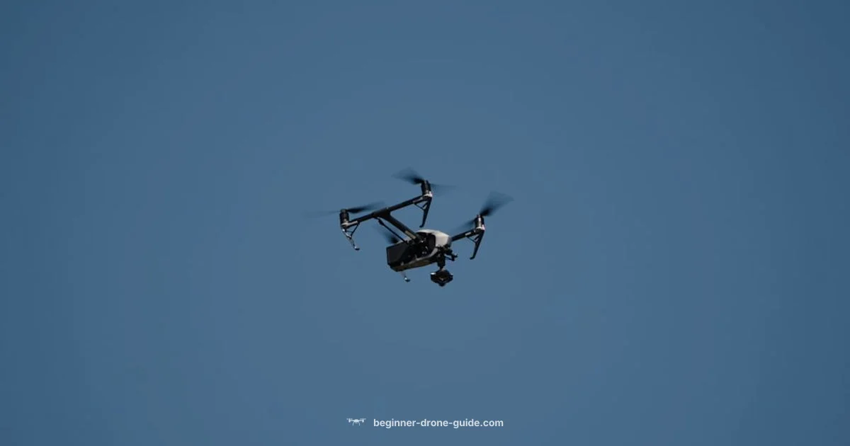 Outage Check - Beginner Drone Guide