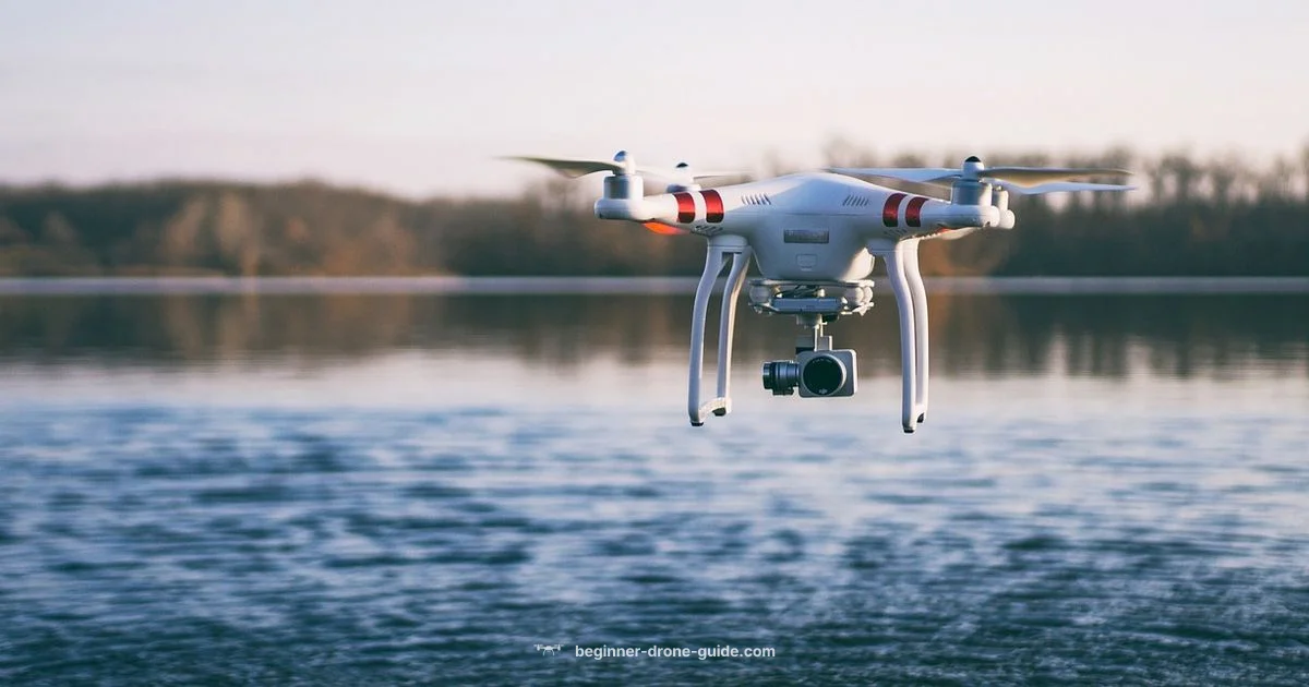 Budget Camera Drone - Beginner Drone Guide