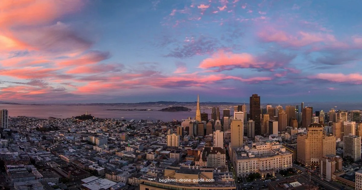 Denver Drone Show Denver Drone Show - Beginner Drone Guide