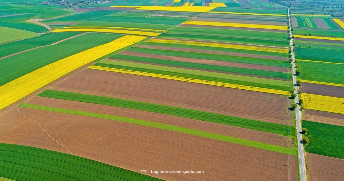 Best Drones for Photo Best Drones for Photo - Beginner Drone Guide