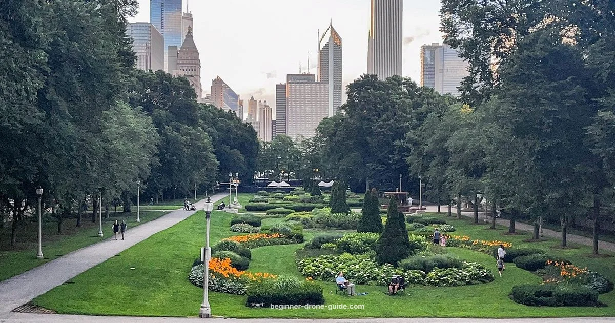 Drone Photography for Beginners - Beginner Drone Guide