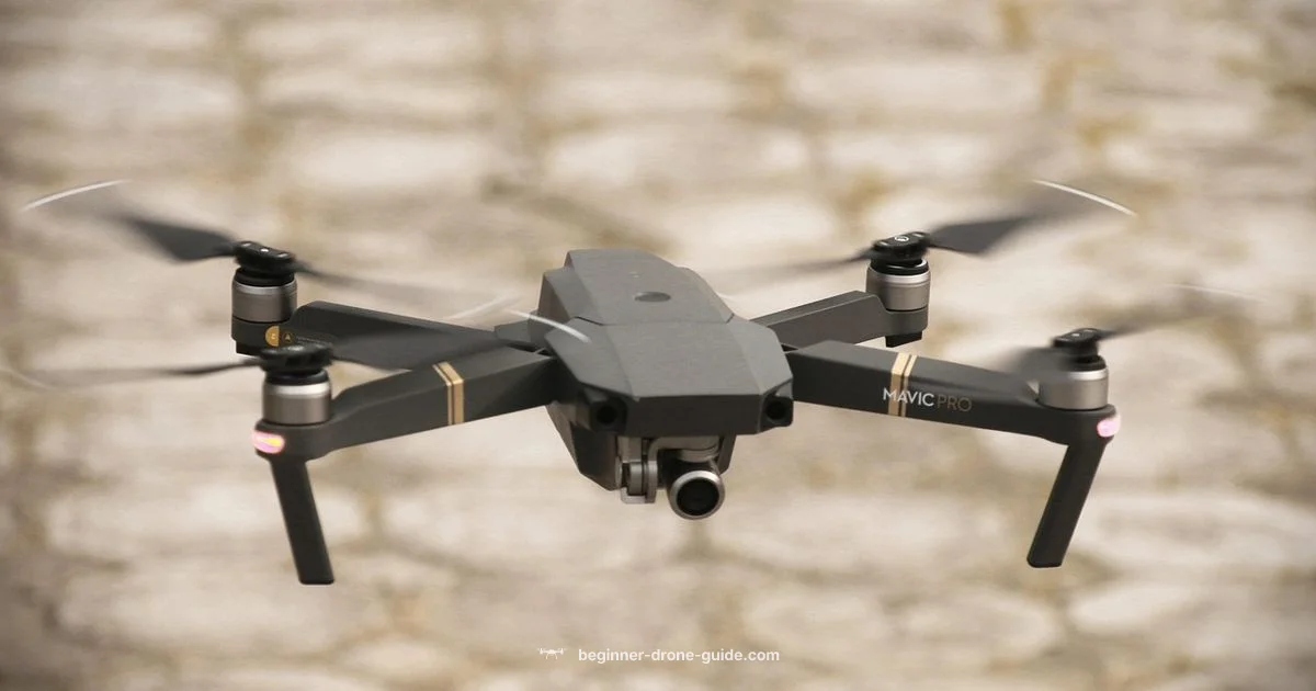 Payload Guide - Beginner Drone Guide