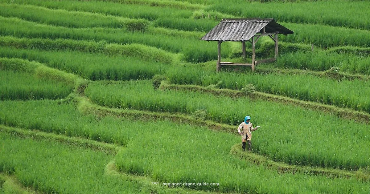 Drone Farming Essentials - Beginner Drone Guide