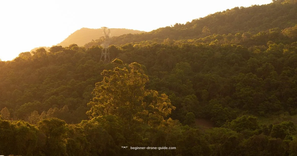 Top Drone Camera Picks - Beginner Drone Guide