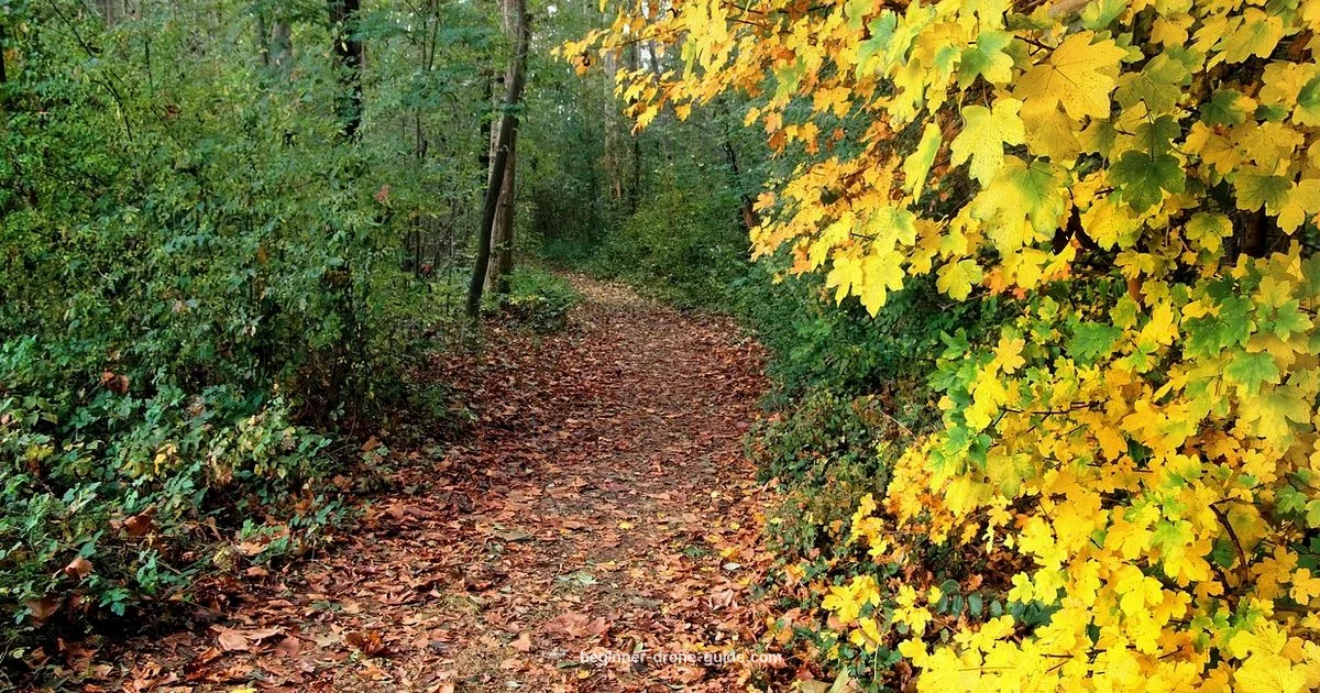 Mavic 3 Pro Overview - Beginner Drone Guide