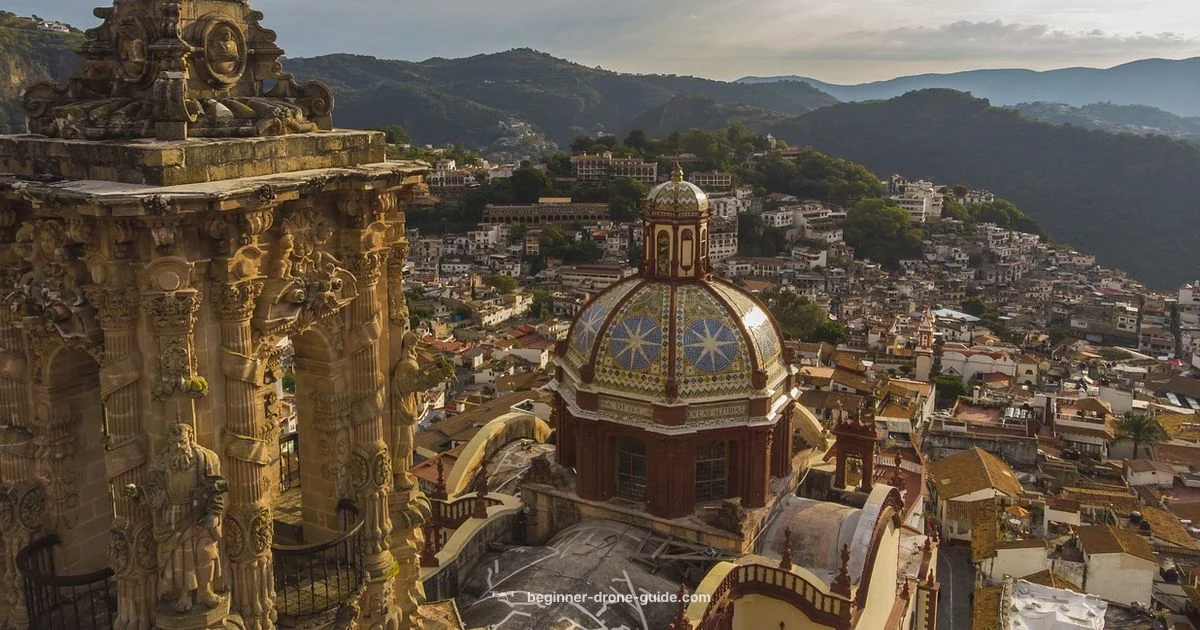 Drone Gender - Beginner Drone Guide