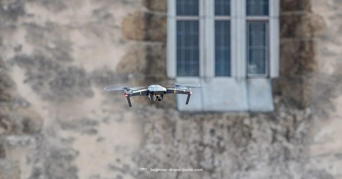 Drone Price Guide - Beginner Drone Guide