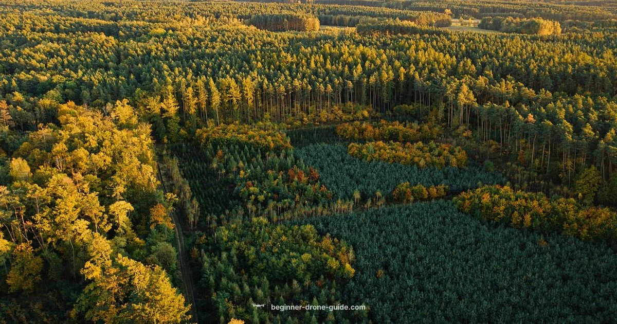 No Drone Zone No Drone Zone - Beginner Drone Guide