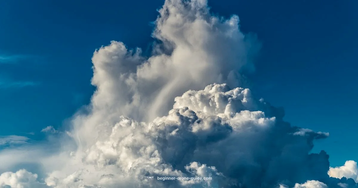 E88 Drone Review - Beginner Drone Guide