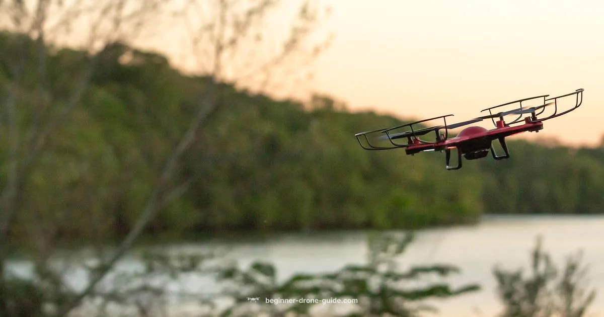 Phone-Controlled Drone Setup Phone-Controlled Drone Setup - Beginner Drone Guide