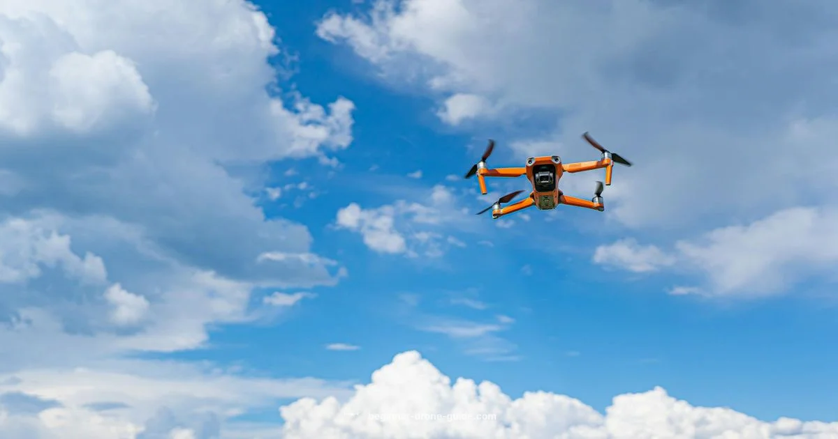 Carrier Swarm - Beginner Drone Guide