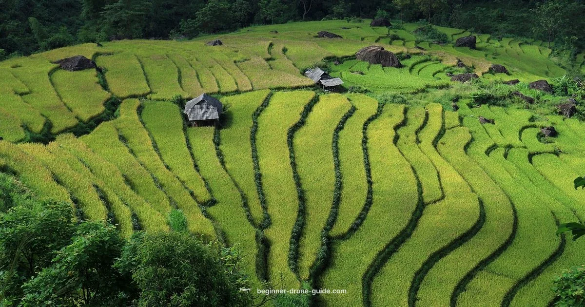 Vietnam Drone Rules - Beginner Drone Guide