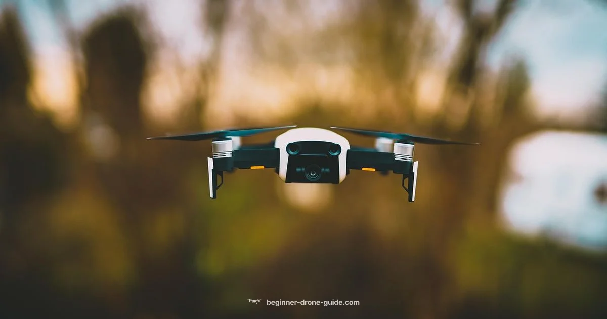 Low Battery Warning - Beginner Drone Guide