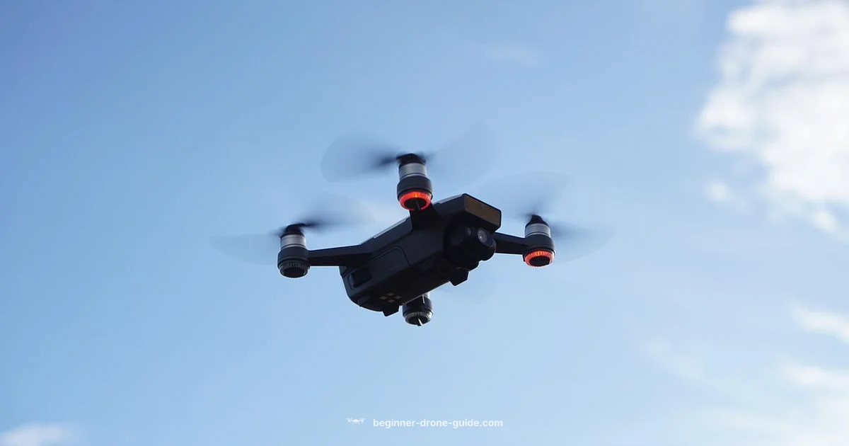 Beginner Friendly - Beginner Drone Guide
