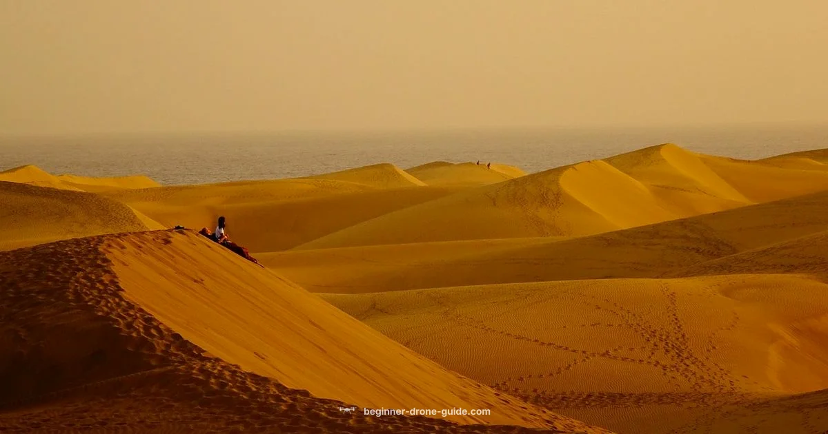 Drone Warfare Basics - Beginner Drone Guide