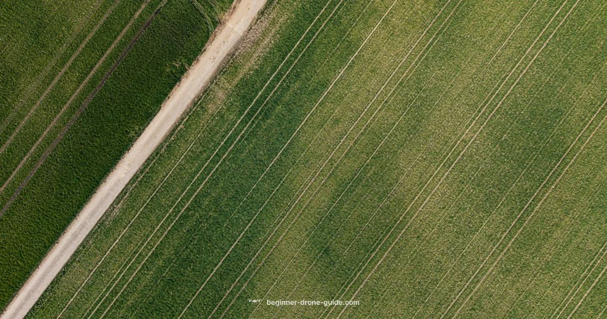 Trust Drone Test - Beginner Drone Guide