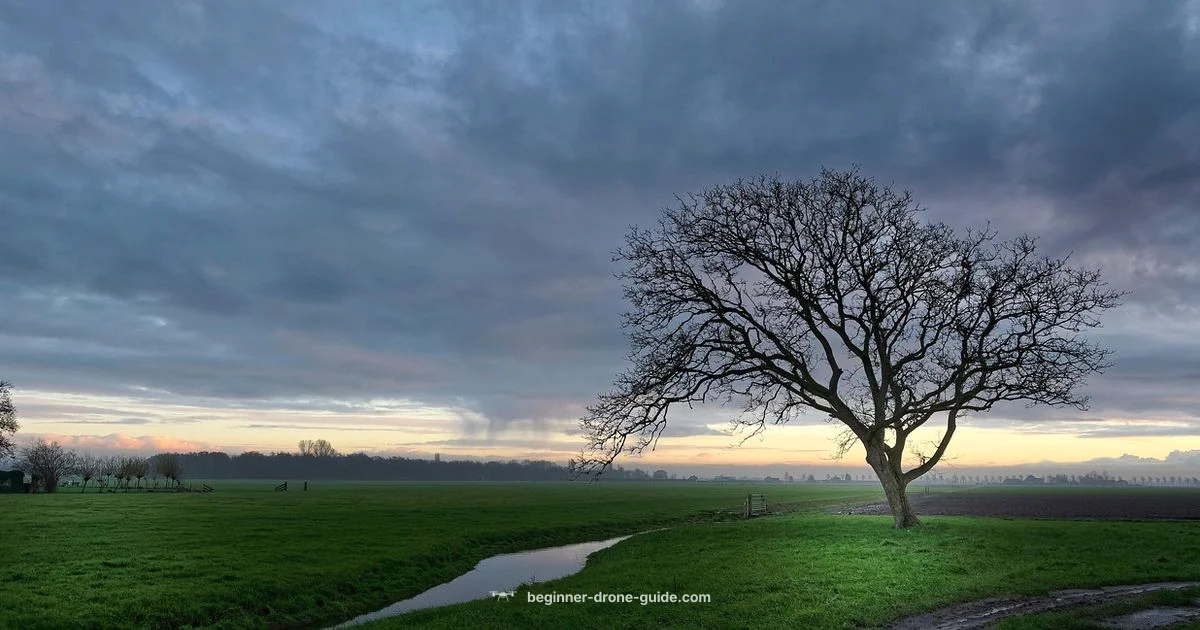 Drone Combat Basics Drone Combat Basics - Beginner Drone Guide