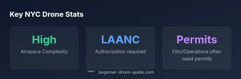 NYC drone statistics infographic