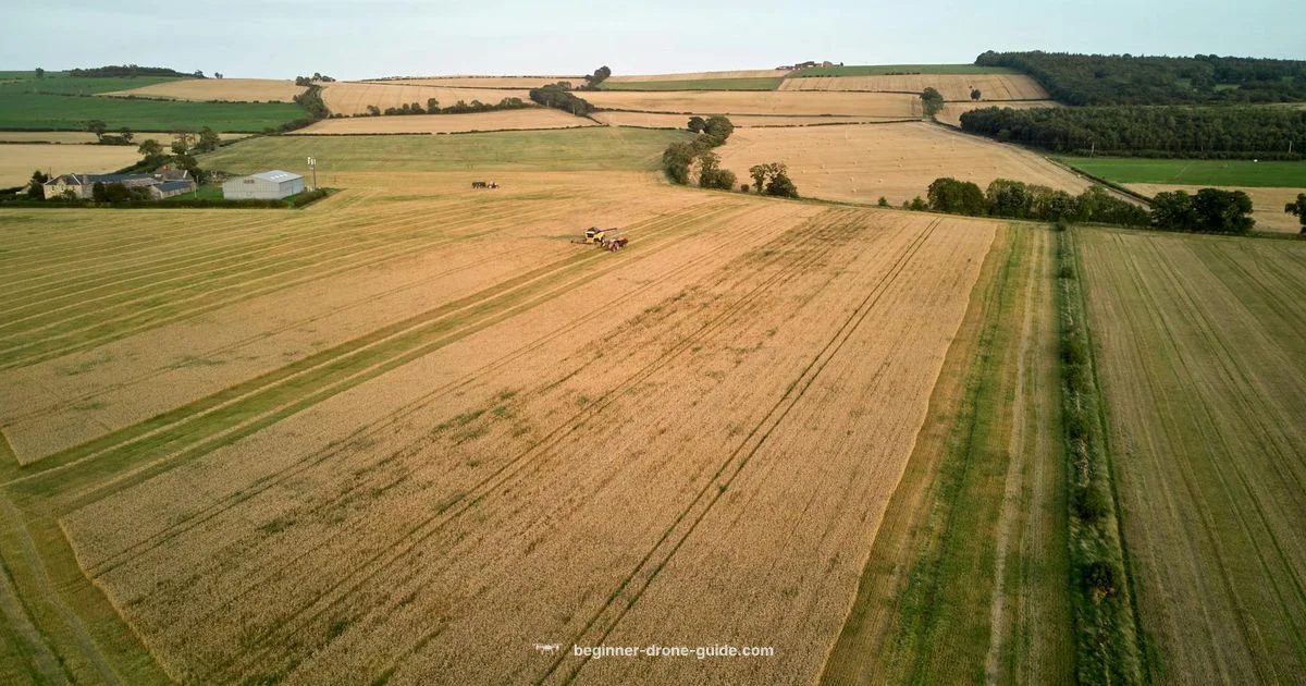 Skyrover X1 Review - Beginner Drone Guide