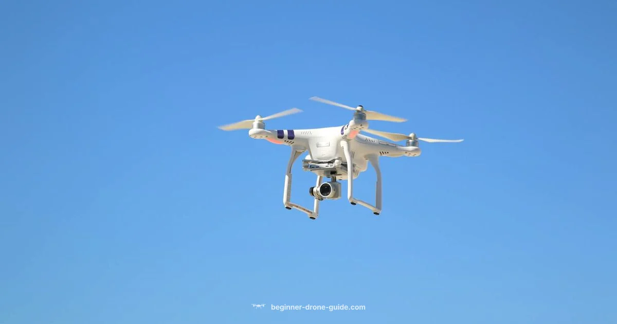 Phantom 4 Pro Overview - Beginner Drone Guide