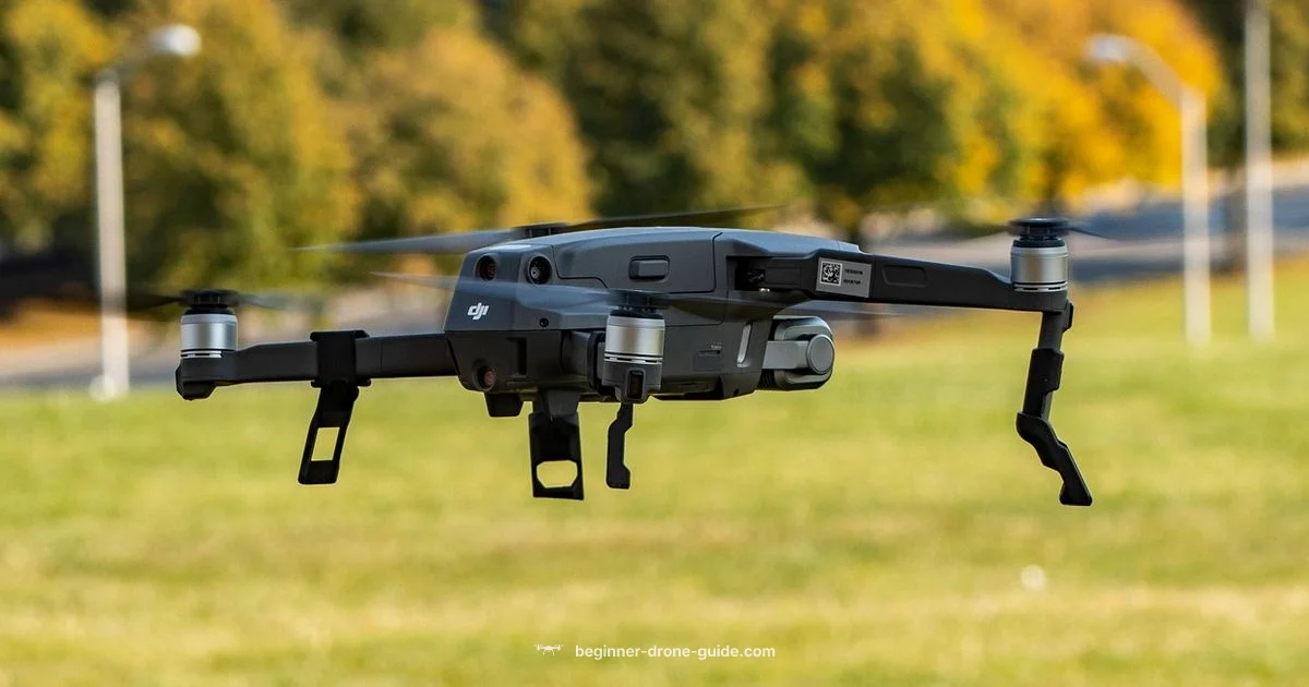 Drone Flying Basics - Beginner Drone Guide