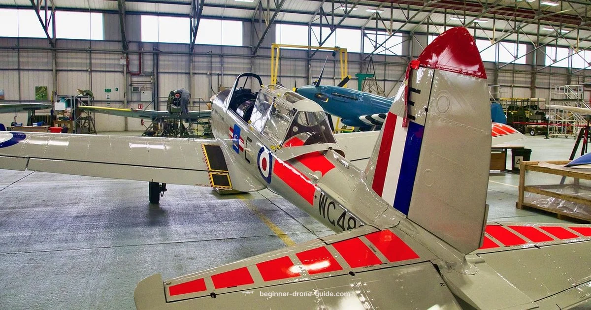 Matrice 300 Review - Beginner Drone Guide