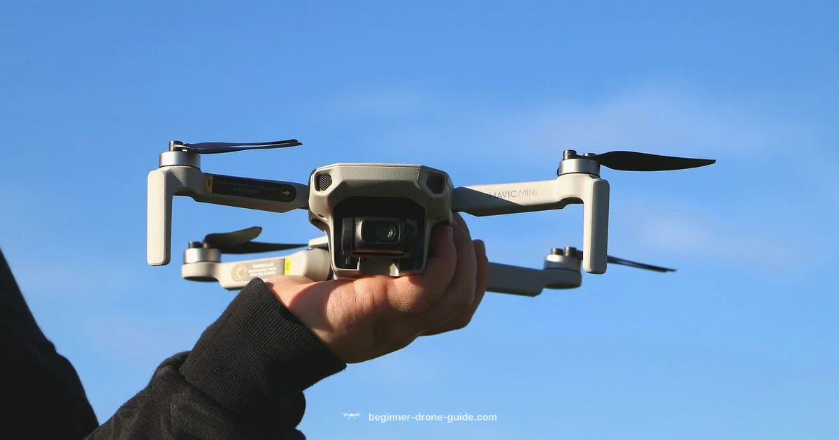 Tiny Drones - Beginner Drone Guide