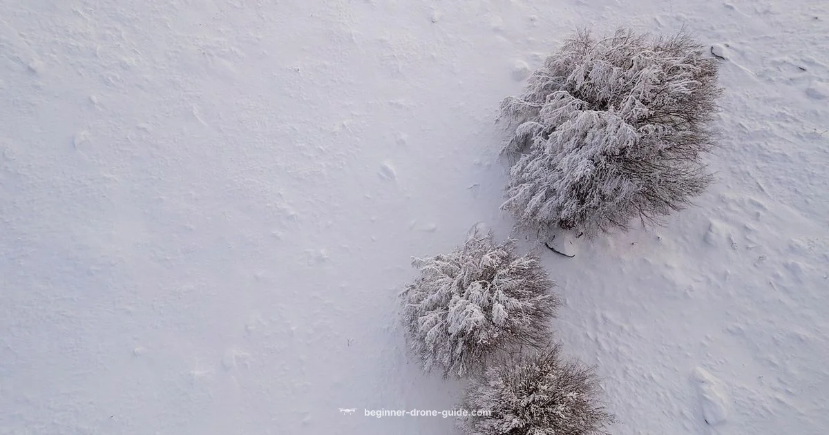 Cold Weather Drones - Beginner Drone Guide