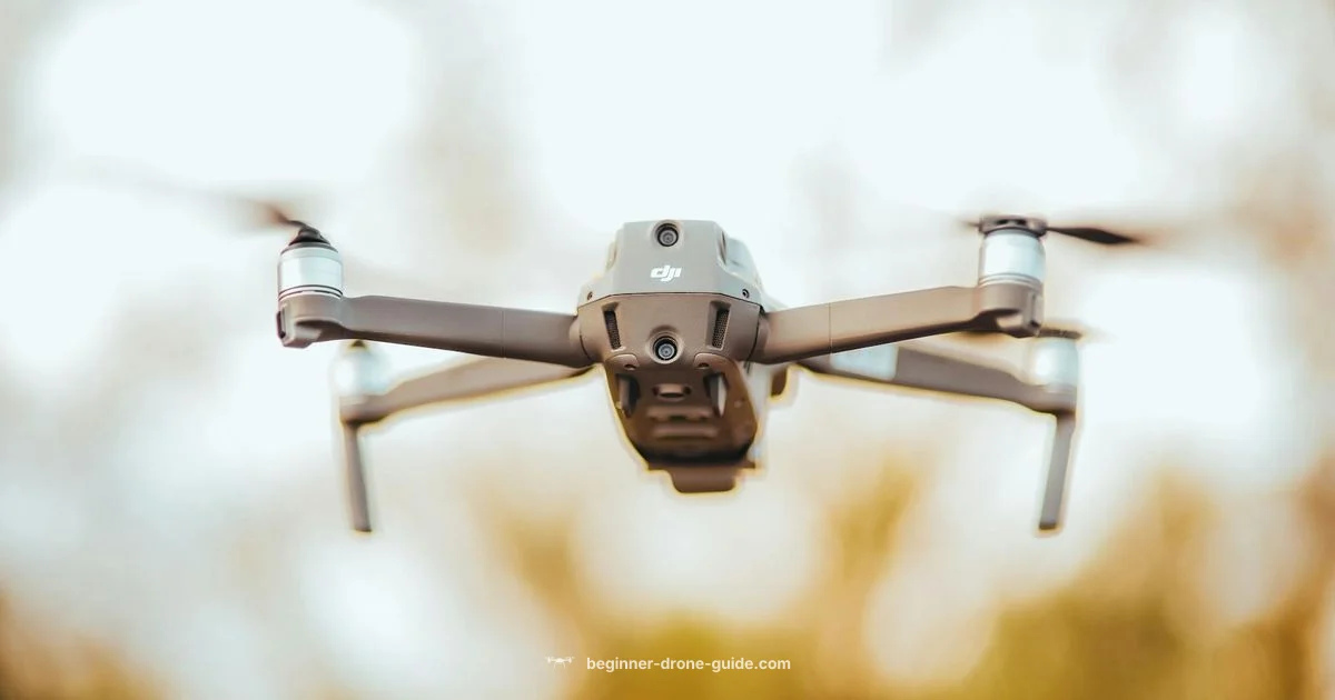 Phantom 3 4K Guide - Beginner Drone Guide