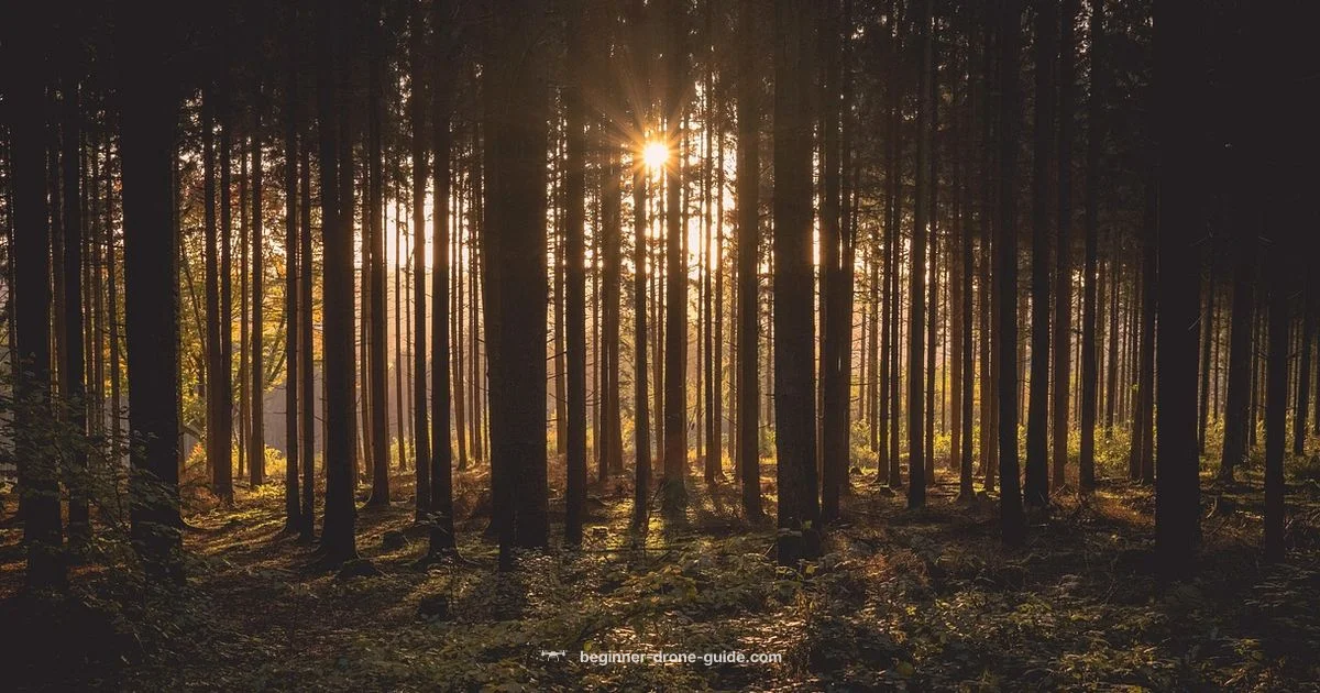 Wildlife Safe Flying - Beginner Drone Guide