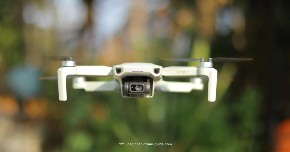 Air Drone Starter - Beginner Drone Guide