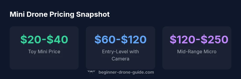 Pricing snapshot for mini drones across tiers
