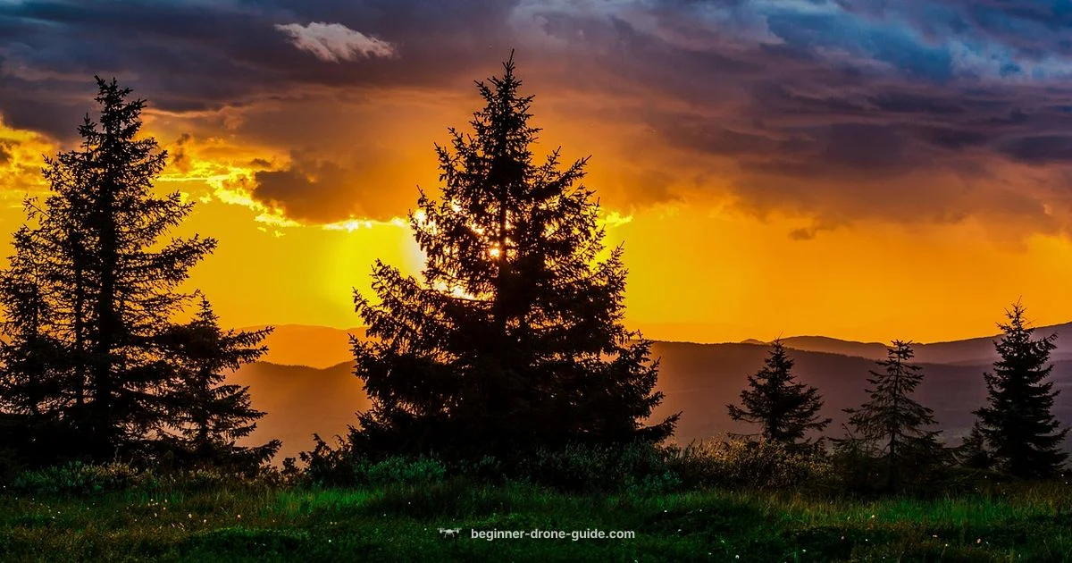 Mastering Drone Images - Beginner Drone Guide