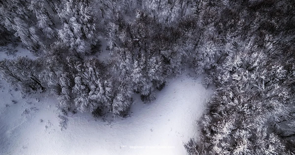 Sharper Drone Shots - Beginner Drone Guide