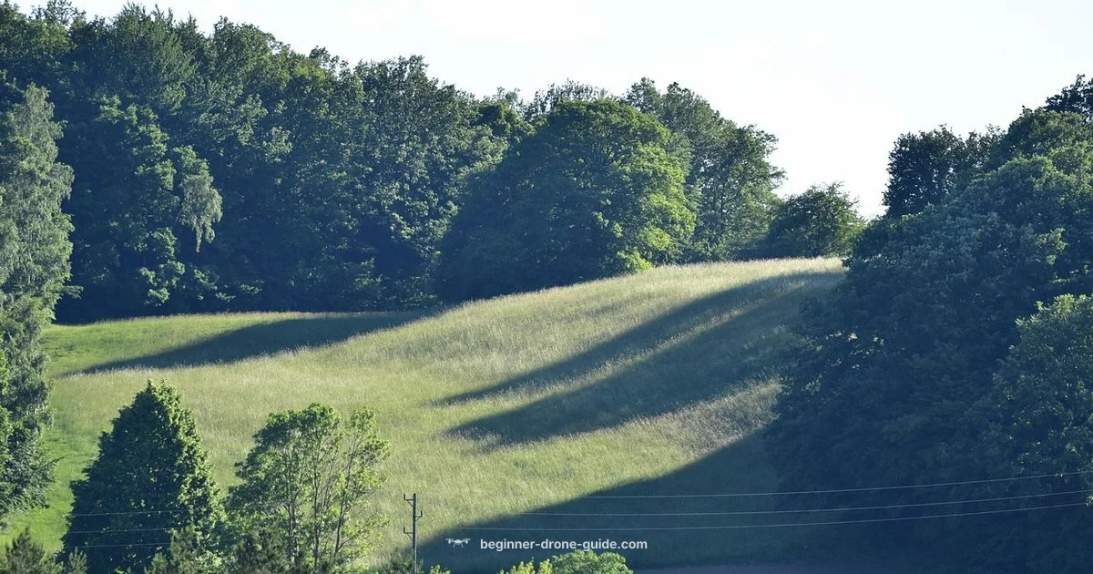 Drone Sound Basics - Beginner Drone Guide