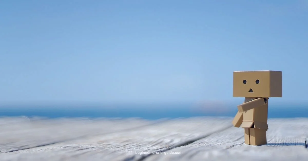 Drone Buying on Amazon - Beginner Drone Guide