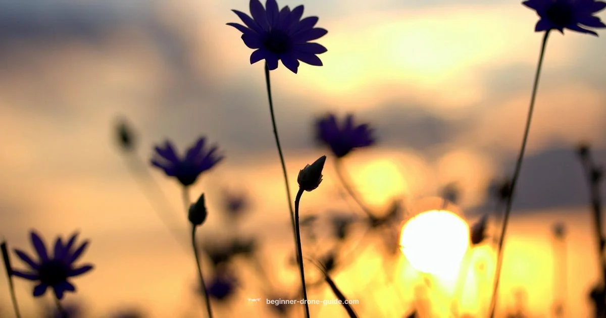 Best Drone Deals - Beginner Drone Guide