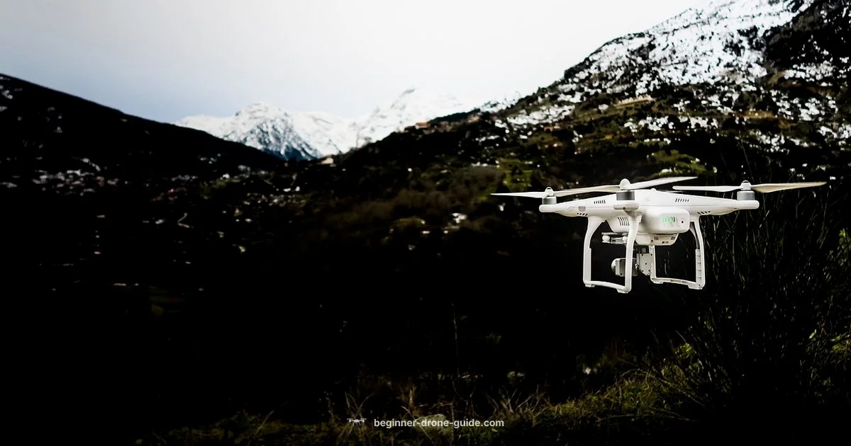 Thermal Drone Guide - Beginner Drone Guide