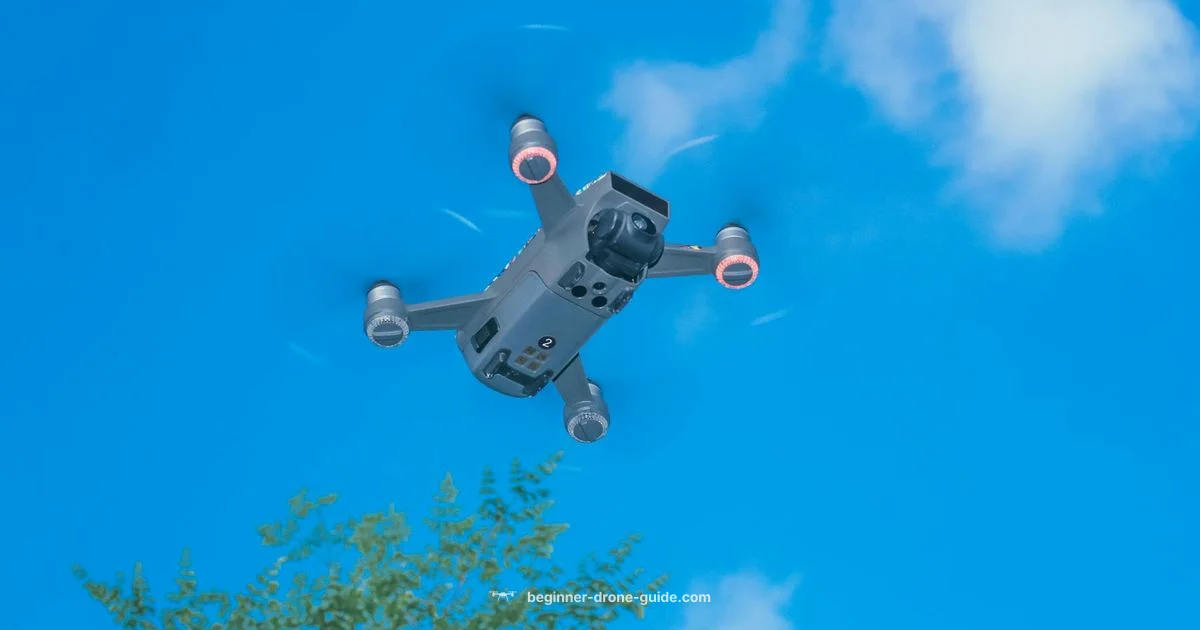 Understanding UAVs for Beginners - Beginner Drone Guide