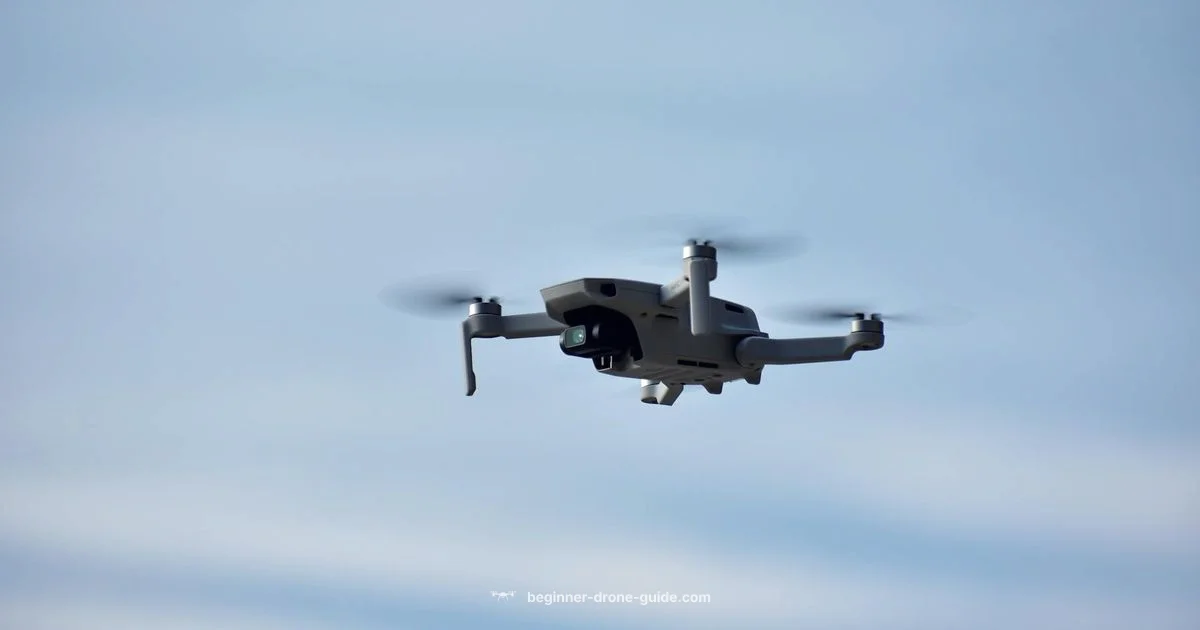 Flight Rules Guide - Beginner Drone Guide