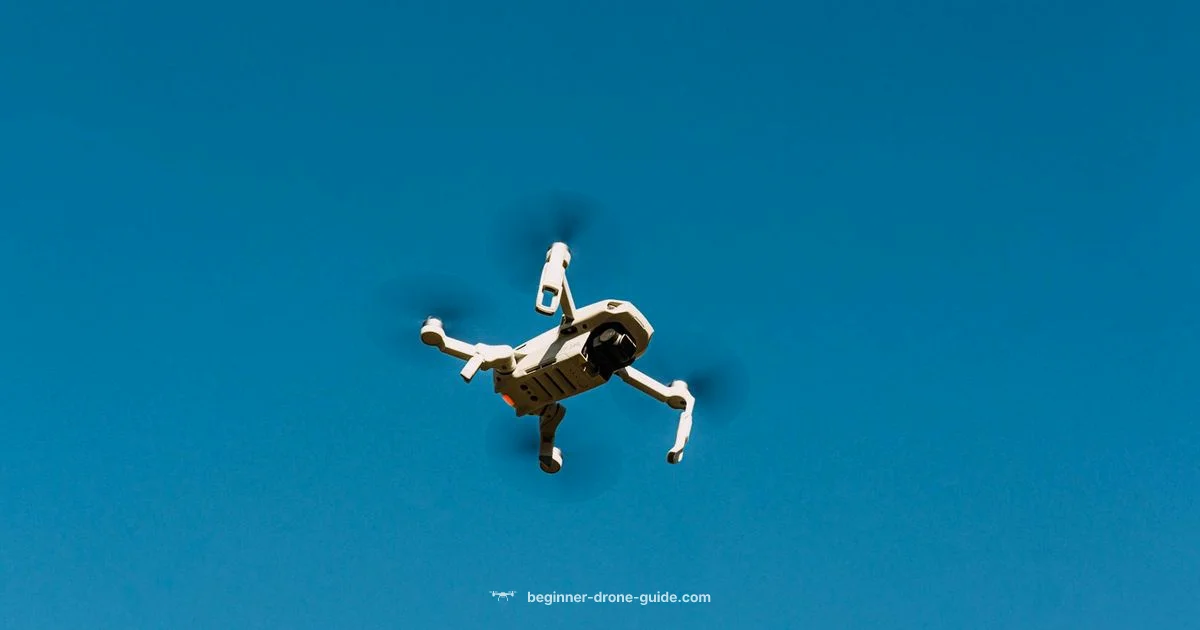 Hunting Drone Scout - Beginner Drone Guide