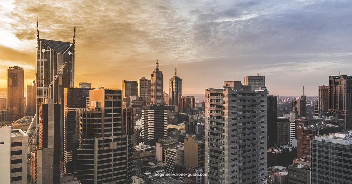 Eco Delivery Comparison - Beginner Drone Guide