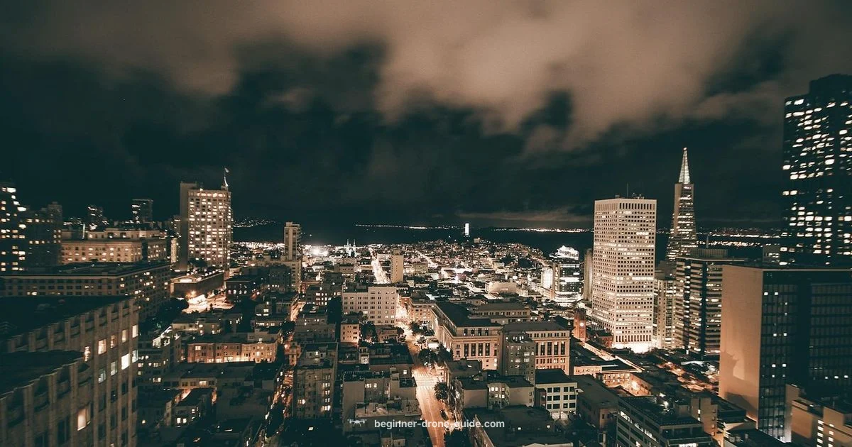 Drone Show Costs - Beginner Drone Guide