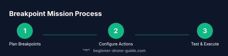 Diagram showing a three-step breakpoint mission process