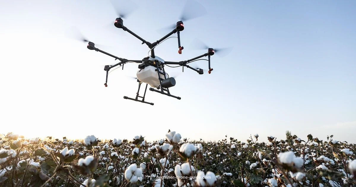 Offline Flight Guide - Beginner Drone Guide