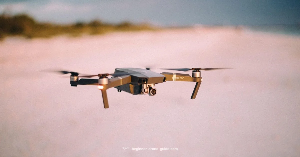 Drone Pilot Basics - Beginner Drone Guide