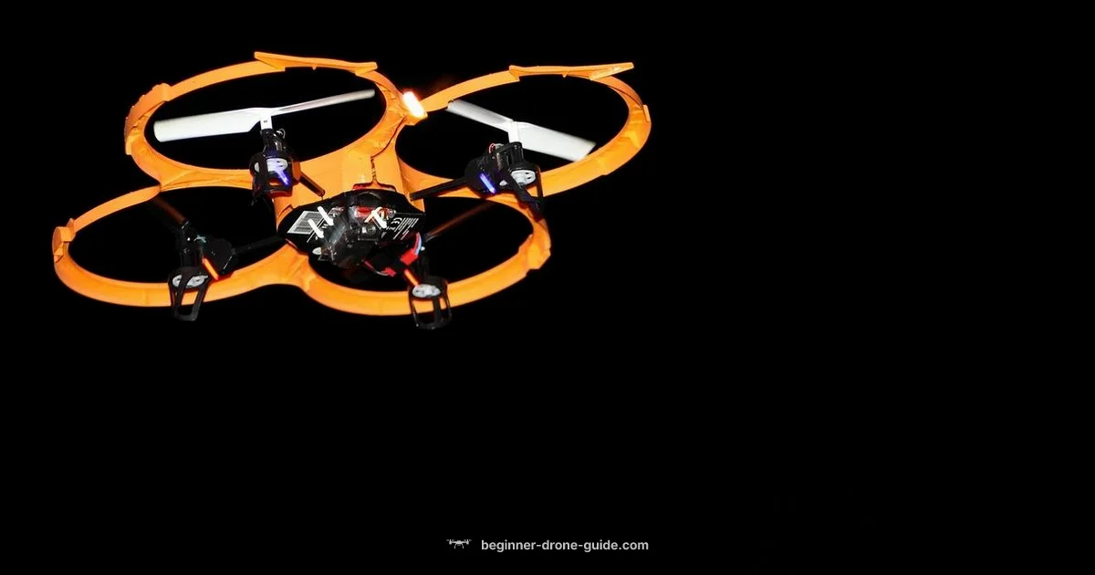Night Flight Guide Night Flight Guide - Beginner Drone Guide