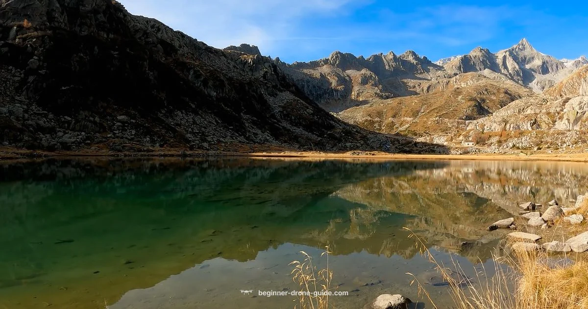 Alternatives to DJI - Beginner Drone Guide