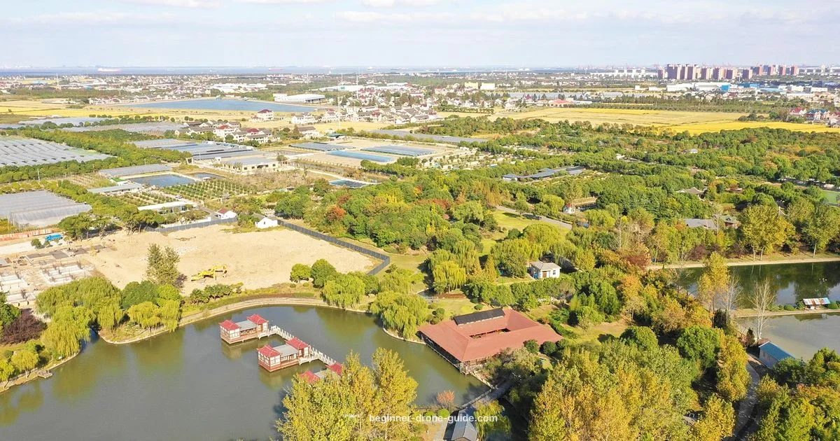 Beginner Drone Guide